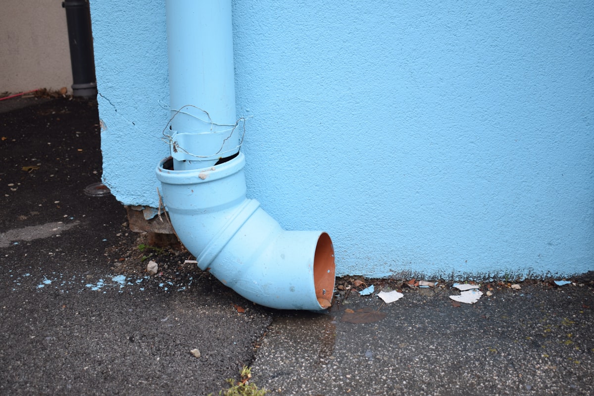 Mold Remediation service in Fontana, CA